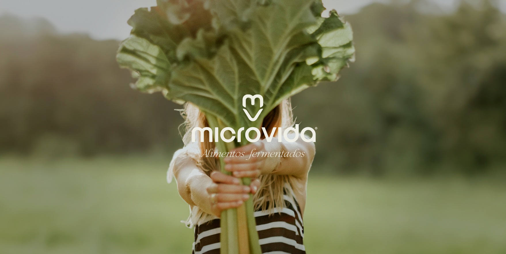 Microvida 2